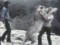 Christian the Lion / The Great Dan Patch Christian the Lion / The Great Dan Patch