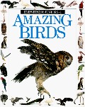 Amazing Birds (Eyewitness Junior) Amazing Birds (Eyewitness Junior)