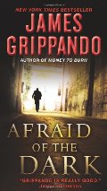 Afraid of the Dark (Jack Swyteck Novel) Afraid of the Dark (Jack Swyteck Novel)
