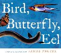 Bird, Butterfly, Eel Bird, Butterfly, Eel