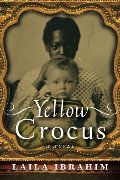 Yellow Crocus Yellow Crocus