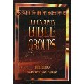 Serendipity Bible for Groups, New International Version Serendipity Bible for Groups, New International Version