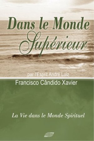 Dans le Monde Supérieur (French Edition) Dans le Monde Supérieur (French Edition)