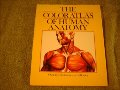 Color Atlas Of Human Anatomy Color Atlas Of Human Anatomy