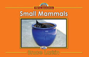 Small Mammals (6) Small Mammals (6)