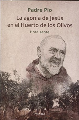 La agonía de Jesús en el Huerto de los Olivos. Hora santa La agonía de Jesús en el Huerto de los Olivos. Hora santa