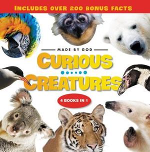 Curious Creatures Curious Creatures