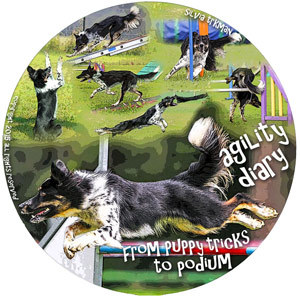 Agility Diary: From Puppy Tricks to Podium Agility Diary: From Puppy Tricks to Podium