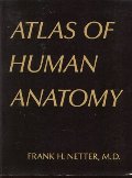Atlas of Human Anatomy Atlas of Human Anatomy