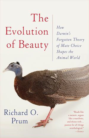 Evolution of Beauty, The Evolution of Beauty, The