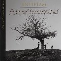 Antietam (Voices of the Civil War) Antietam (Voices of the Civil War)