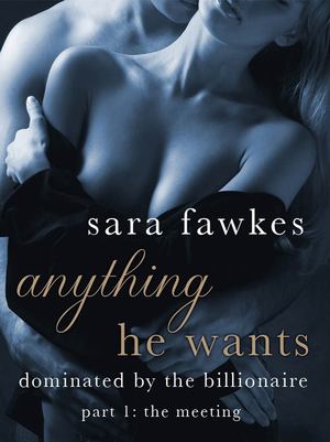 Anything He Wants: The Meeting (#1) Anything He Wants: The Meeting (#1)