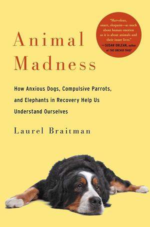 Animal Madness Animal Madness