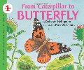 From Caterpillar to Butterfly Big Book From Caterpillar to Butterfly Big Book