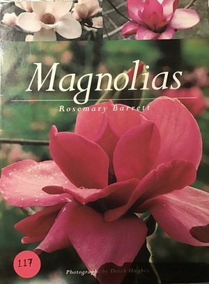 Magnolias Magnolias