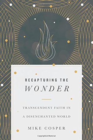 Recapturing the Wonder: Transcendent Faith in a Disenchanted World Recapturing the Wonder: Transcendent Faith in a Disenchanted World