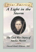 Light in the Storm: the Civil War Diary of Amelia Martin, A Light in the Storm: the Civil War Diary of Amelia Martin, A