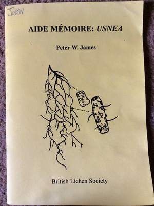 Aide Memoire: Usnea Aide Memoire: Usnea