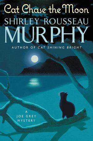 Cat Chase the Moon Cat Chase the Moon