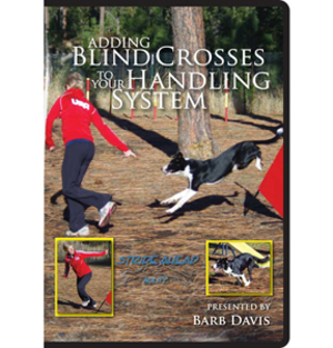 Adding Blind Crosses to Your Handling System Adding Blind Crosses to Your Handling System