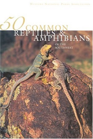 50 Common Reptiles & Amphibians of the Southwest 50 Common Reptiles & Amphibians of the Southwest