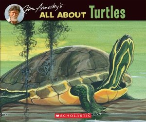 All About Turtles All About Turtles