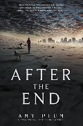 After the End After the End
