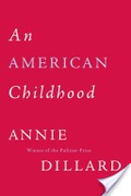 American Childhood American Childhood