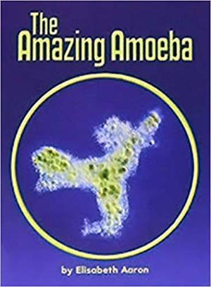 Amazing Amoeba, The (5) Amazing Amoeba, The (5)