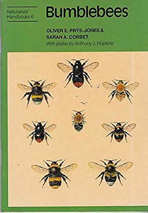 Bumblebees Bumblebees