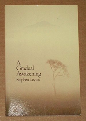 Gradual Awakening, A Gradual Awakening, A