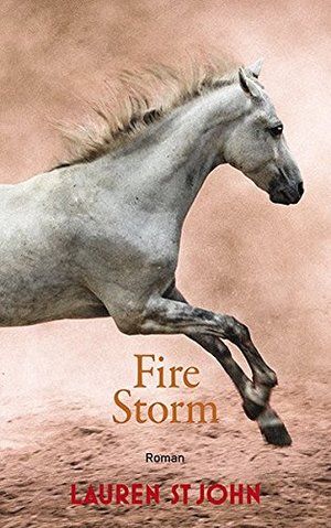 Fire Storm Fire Storm