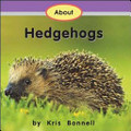 About Hedgehogs About Hedgehogs