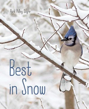 Best in Snow Best in Snow
