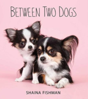 Between Two Dogs Between Two Dogs
