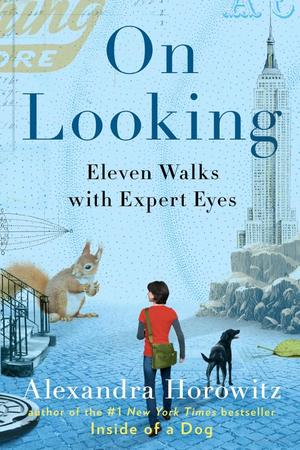 On Looking On Looking