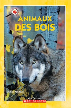 Animaux des Bois Animaux des Bois
