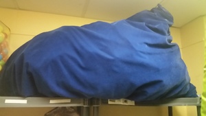 Big Blue bag full of foam Big Blue bag full of foam