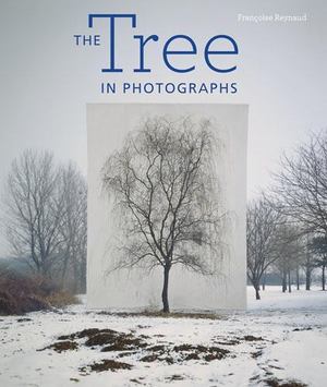 Tree in Photographs, The Tree in Photographs, The