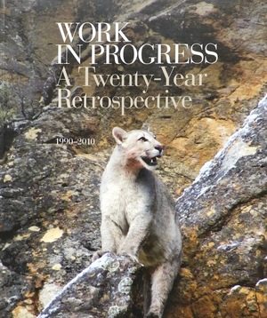 Work in Progress - A Twenty-Year Retrospective Work in Progress - A Twenty-Year Retrospective