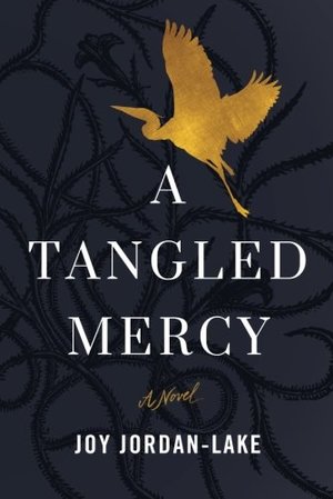 Tangled Mercy: A Novel, A Tangled Mercy: A Novel, A