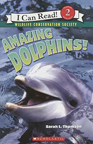 Amazing Dolphins Amazing Dolphins