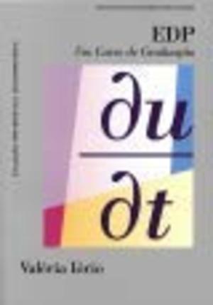 EDP. Um Curso de Graduação - Coleção Matemática Universitária EDP. Um Curso de Graduação - Coleção Matemática Universitária
