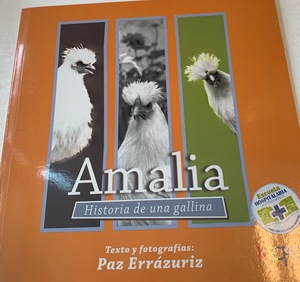 Amalia Amalia