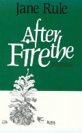 After the Fire After the Fire