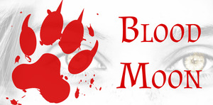 Blood Moon ~ 2021/01/28 Blood Moon ~ 2021/01/28