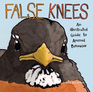False Knees False Knees