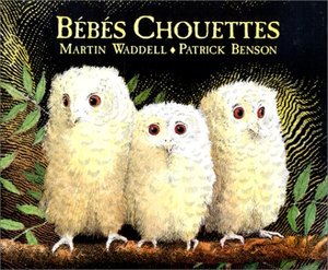 Bébés chouettes Bébés chouettes