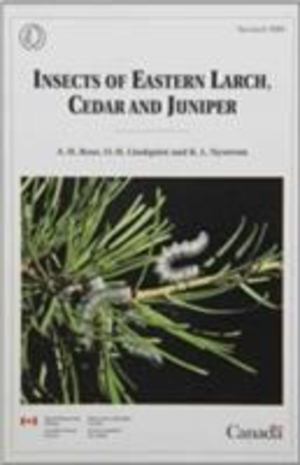 Insects of Eastern Larch, Cedar and Juniper Insects of Eastern Larch, Cedar and Juniper