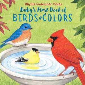 Baby's First Book of Birds & Colors Baby's First Book of Birds & Colors